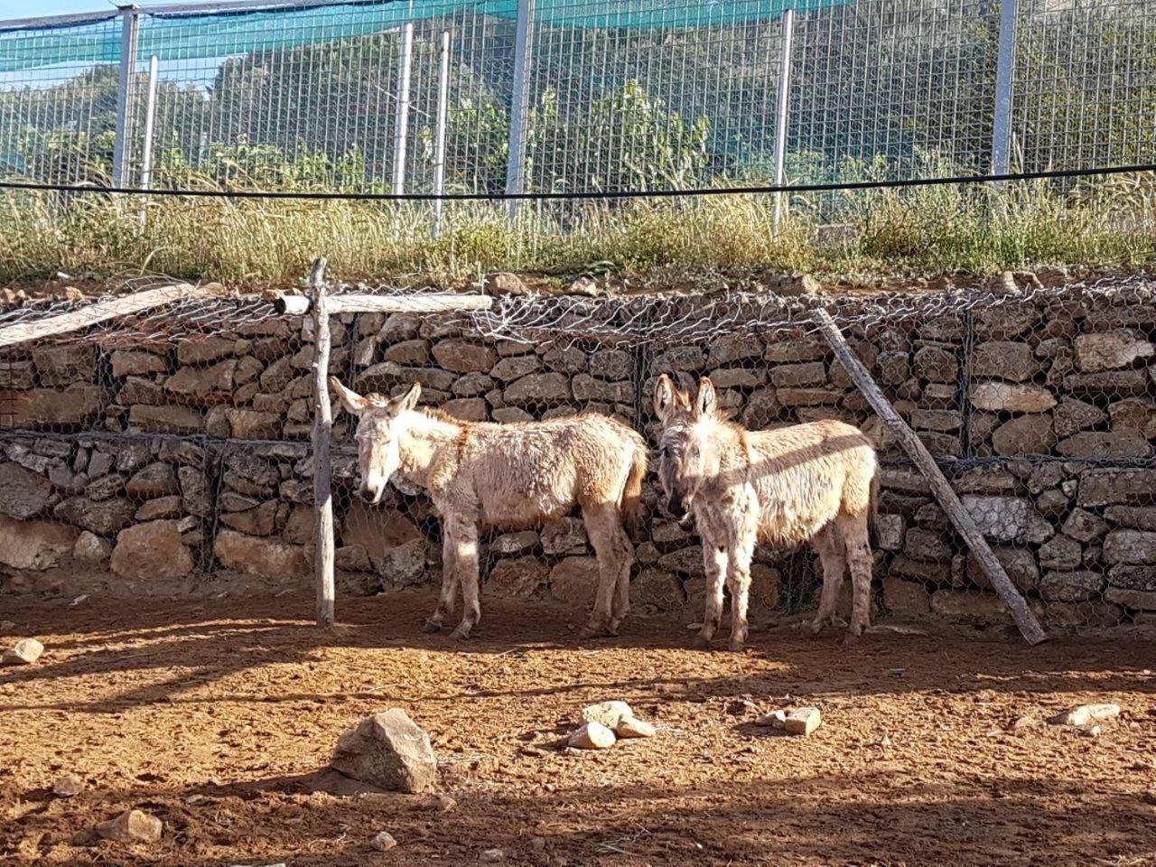 Agriturismo Il Drago Πιάτσα Αρμερίνα Εξωτερικό φωτογραφία
